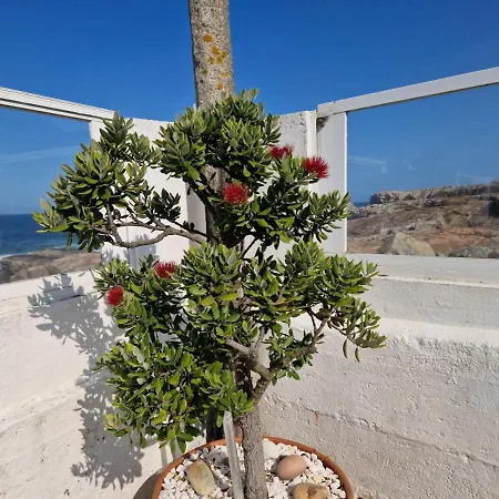 Casa Mar Da Laxe